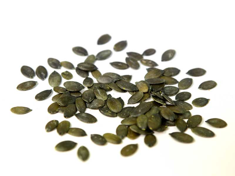 Die gesunde Knabberei für zwischendurch - Nüsse