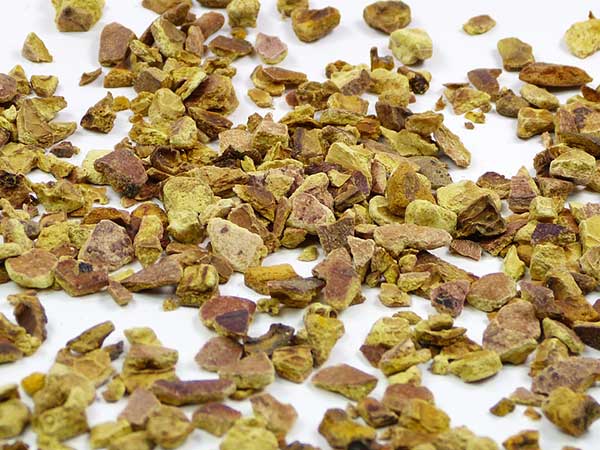 Der Granatapfel - Die große rote Beere