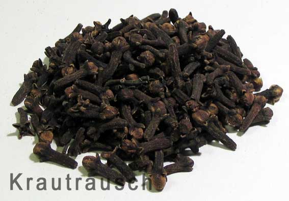 Gewürznelke - Kleine Blütenknospe mit Heilkraft