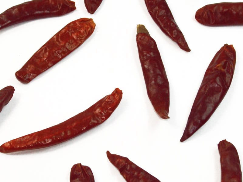 Chilis - Informationen und Anbautippps