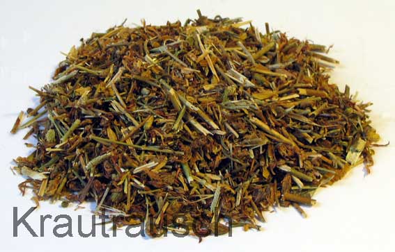 Johanniskraut - eine Heilpflanze mit goldgelben Blüten