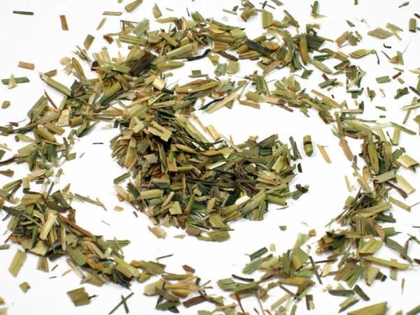 Die Nerven beruhigen mit Haferkraut?