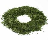 Bärlauch - Die Saison hat begonnen