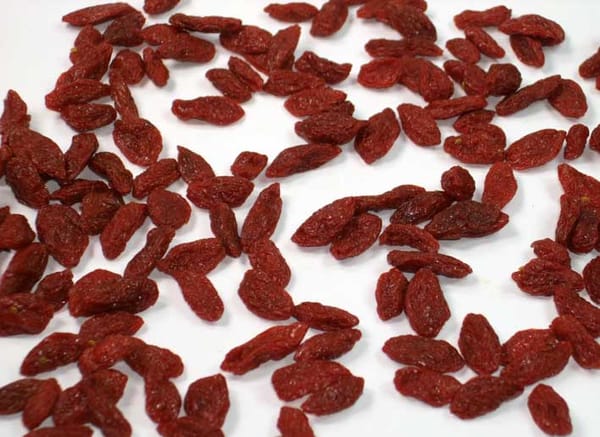 Gojibeeren erfreuen sich großer Beliebtheit - warum?