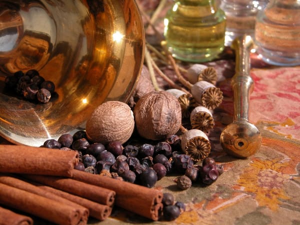 Tomatensauce und Gewürzmischungen