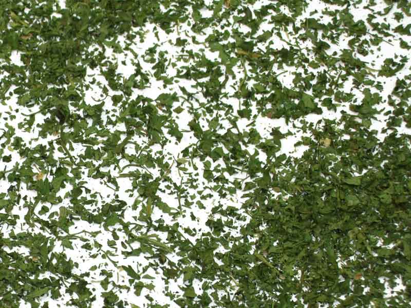 Kerbel - Leider fast vergessen