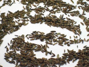 Fenchel, Fenchelsamen