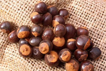 Guaranasamen [C.Bluesman – Fotolia.com] 