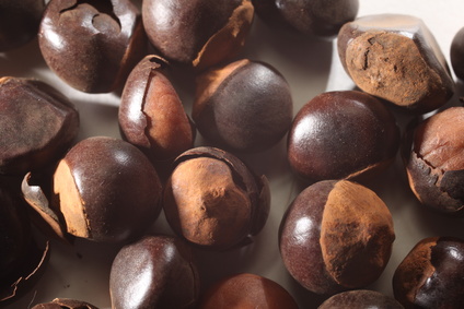  Guarana [© Claude Calcagno – Fotolia.com] 